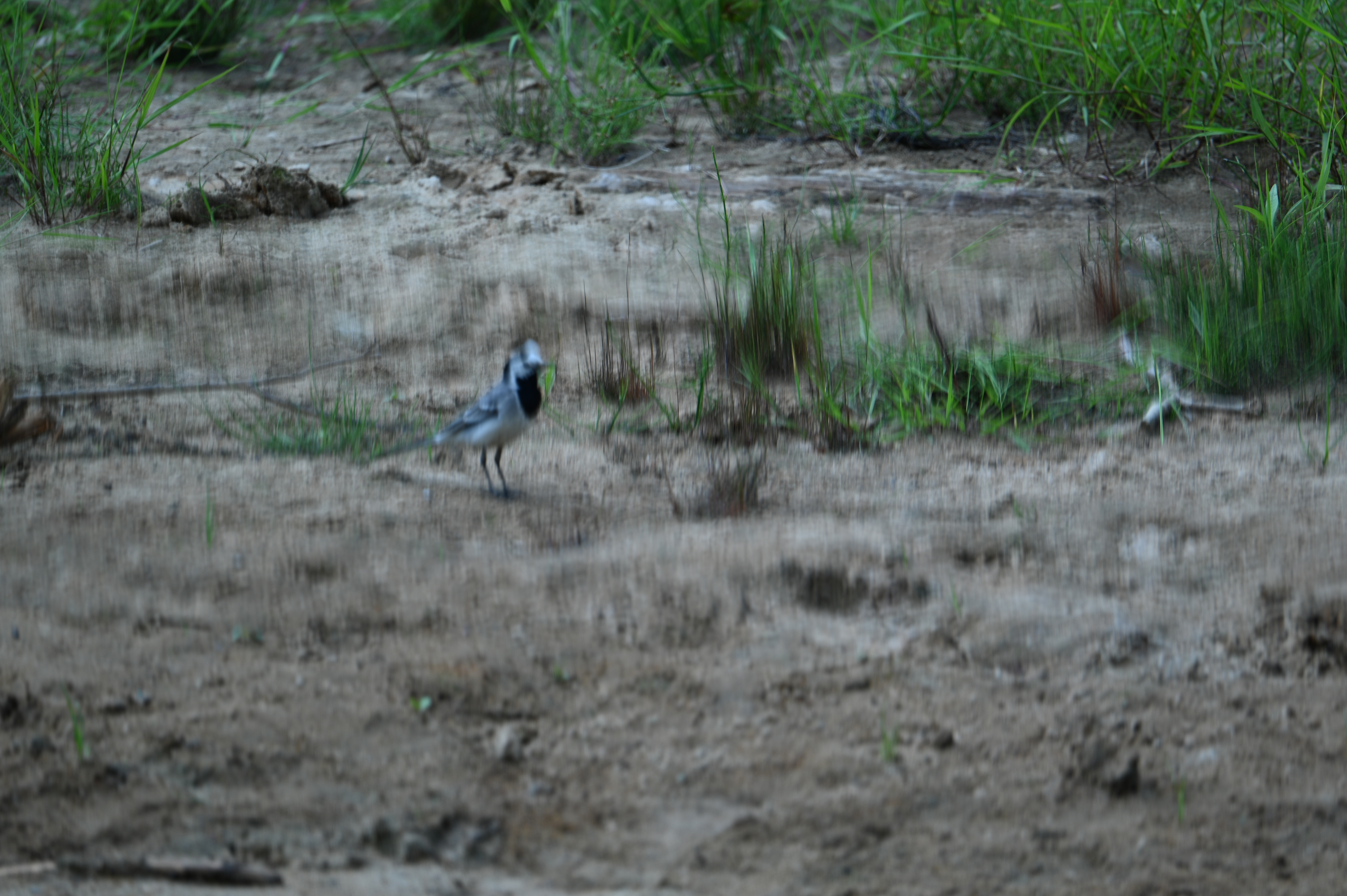 2025/07/09-14 - trip/DSC_0351.JPG